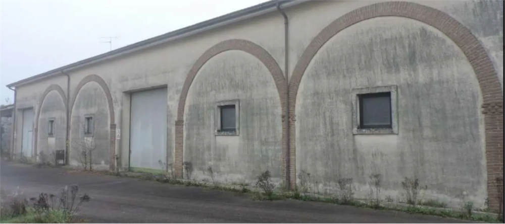 immagine annuncio 6 di 13