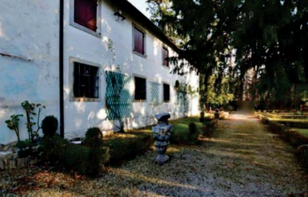 immagine annuncio 6 di 13