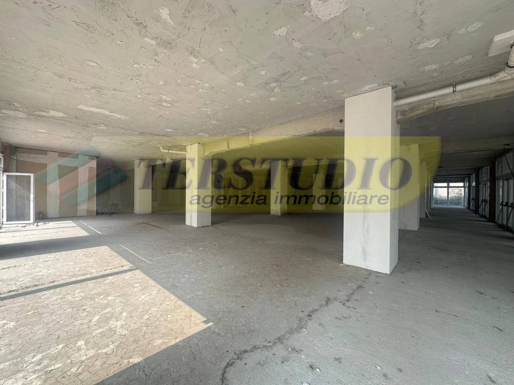 immagine annuncio 4 di 8