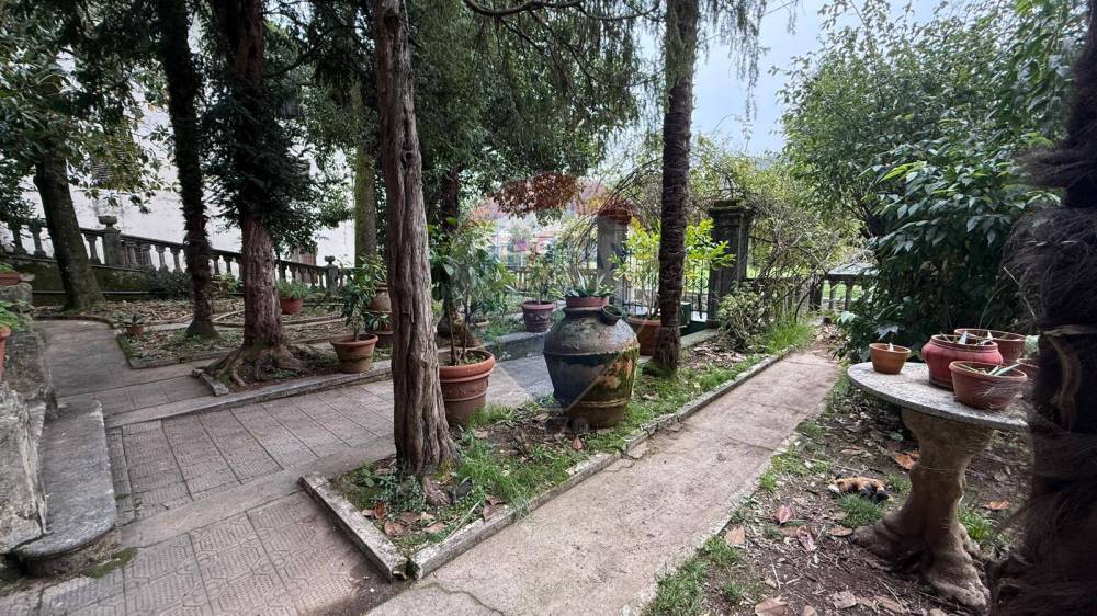 immagine annuncio 3 di 13