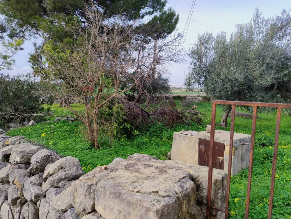 immagine annuncio 11 di 14