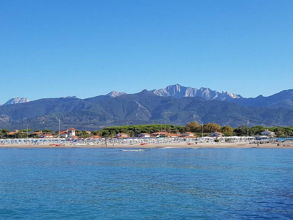 immagine annuncio 7 di 13