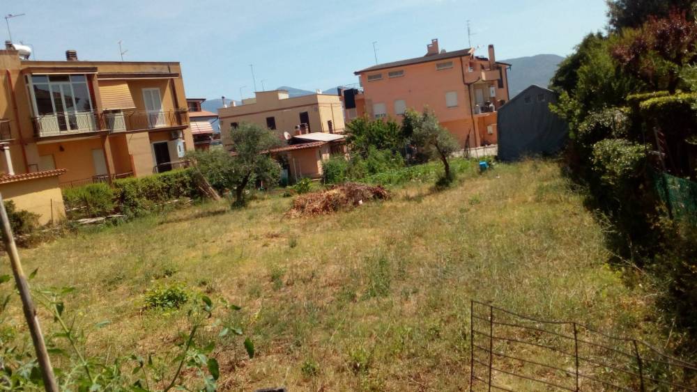 immagine annuncio 2 di 8