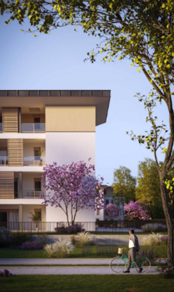 immagine annuncio 4 di 13