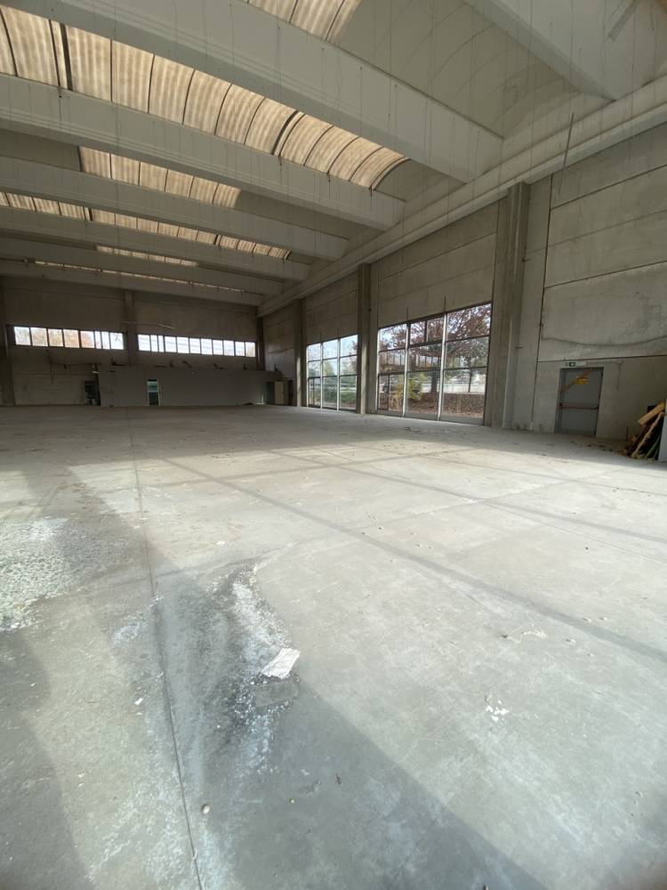 immagine annuncio 2 di 13