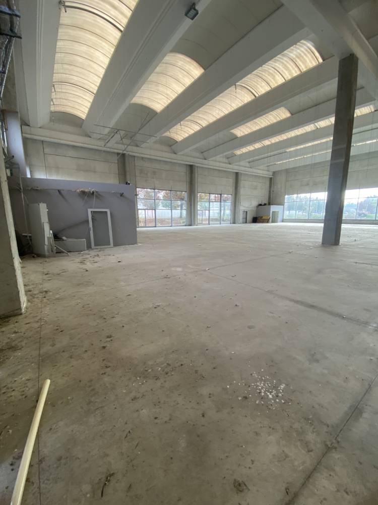 immagine annuncio 3 di 13