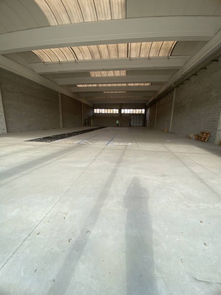 immagine annuncio 5 di 13