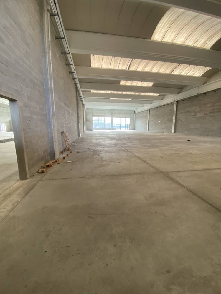 immagine annuncio 6 di 13