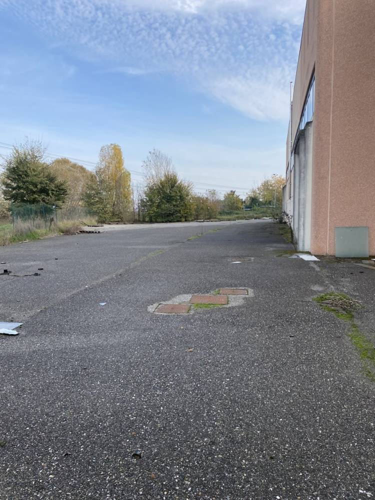 immagine annuncio 11 di 13