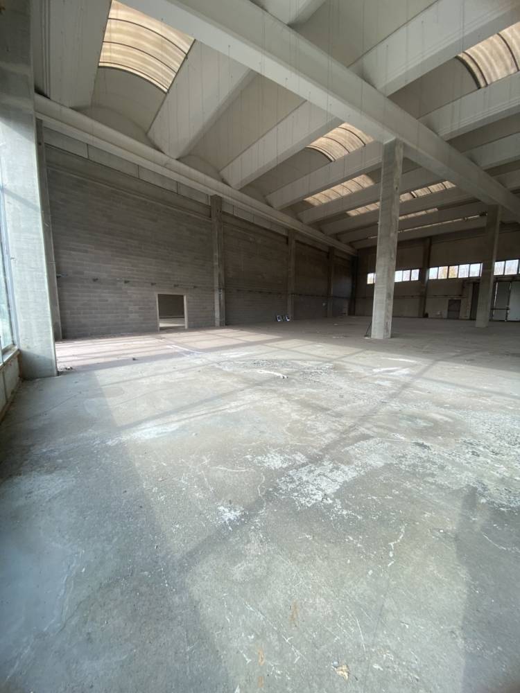 immagine annuncio 4 di 9