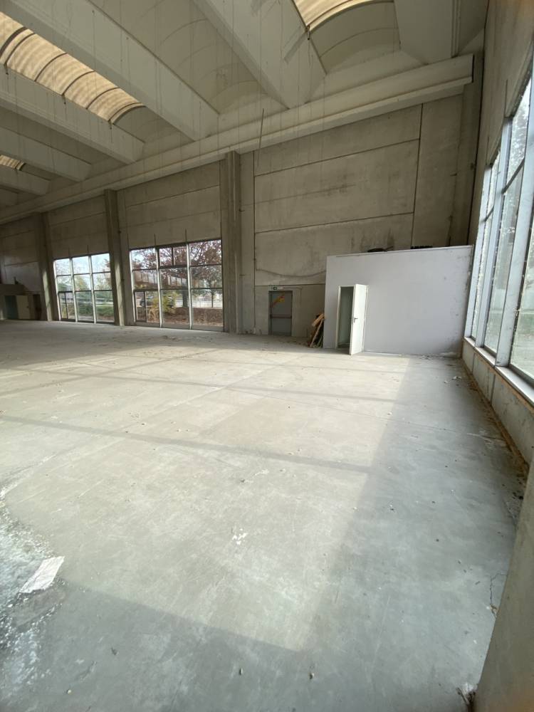 immagine annuncio 6 di 9