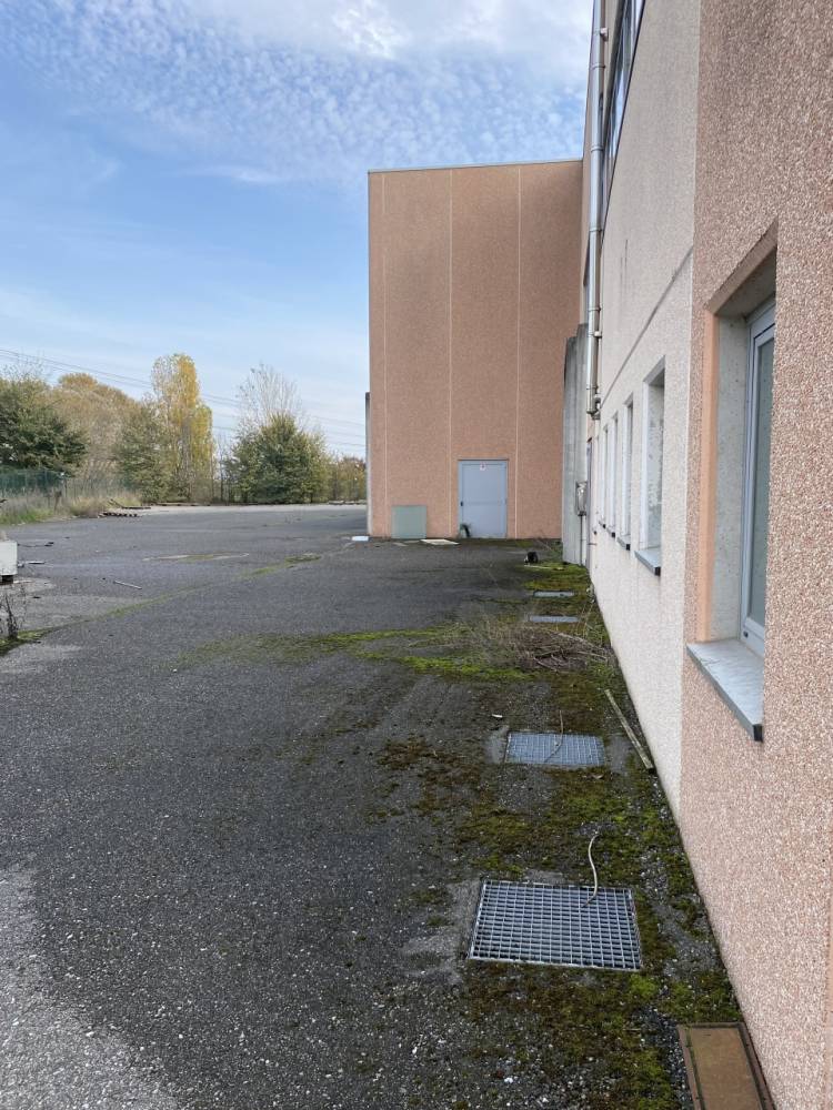 immagine annuncio 6 di 10