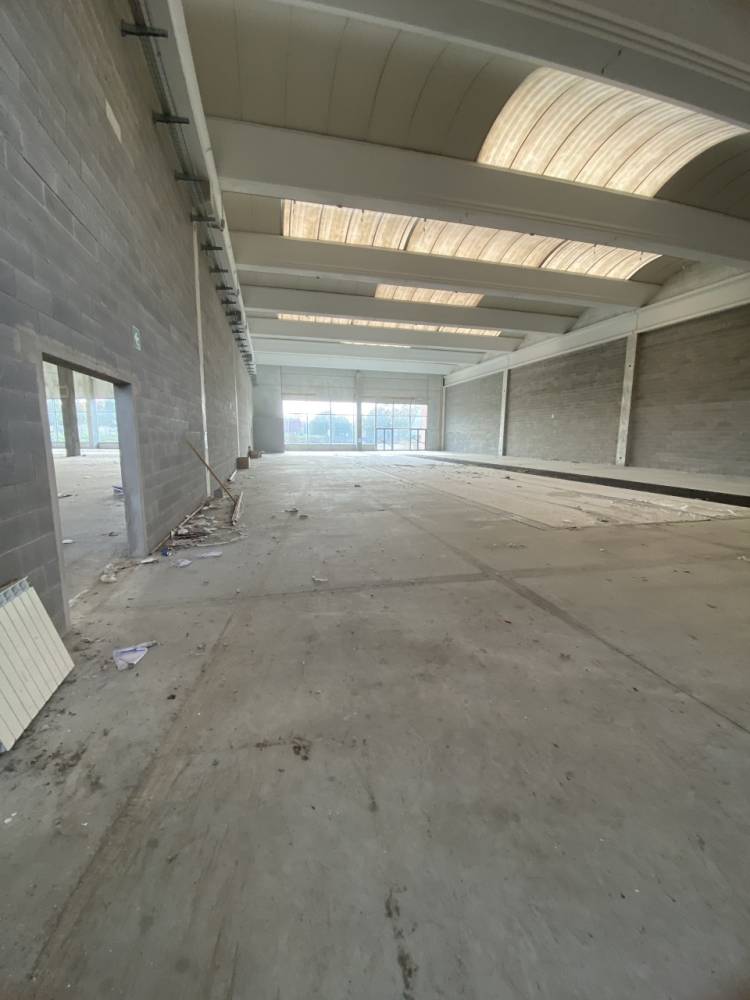 immagine annuncio 2 di 9