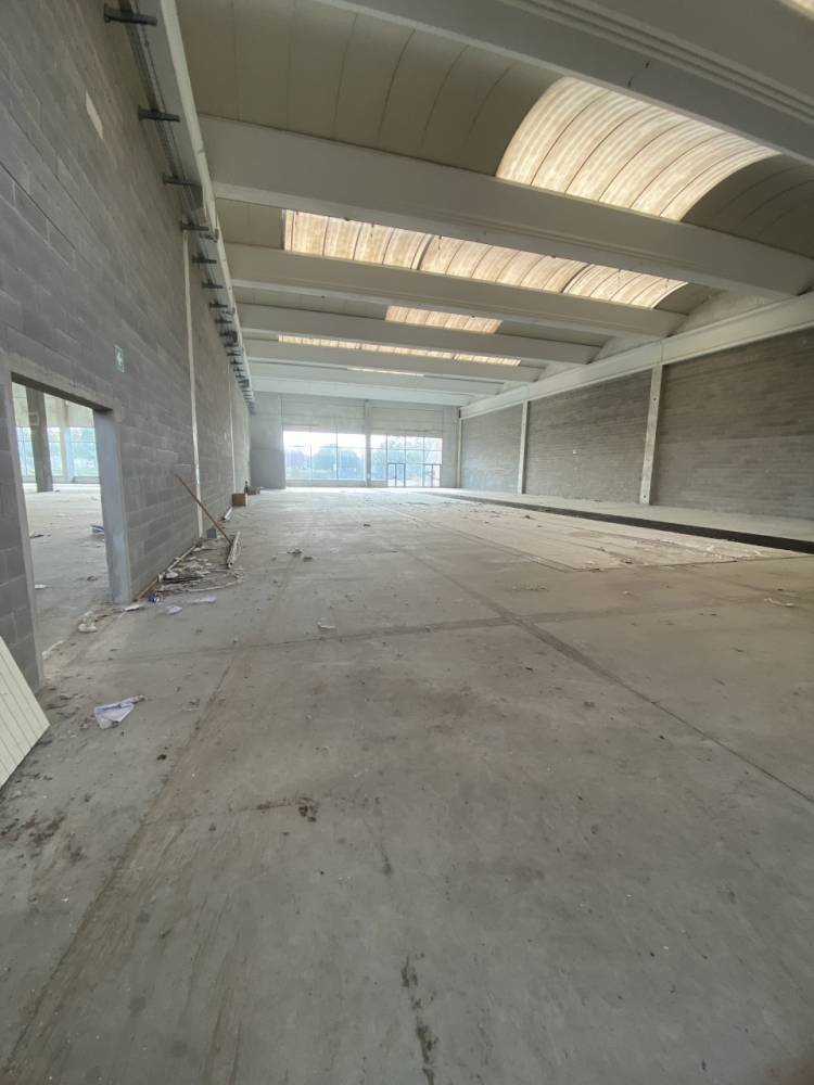 immagine annuncio 3 di 9