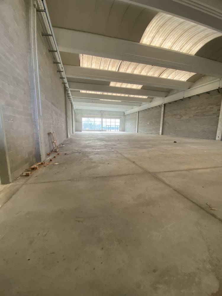 immagine annuncio 7 di 9