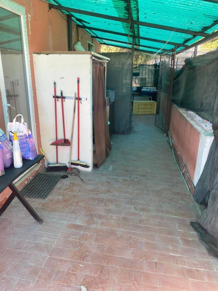 immagine annuncio 4 di 13