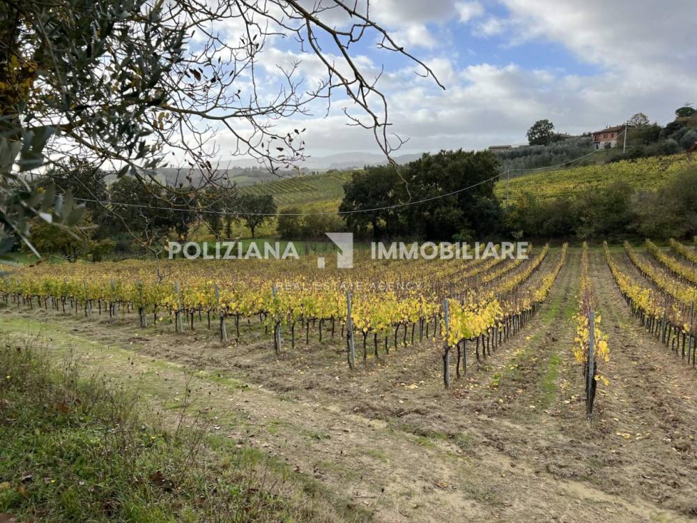 immagine annuncio 9 di 11