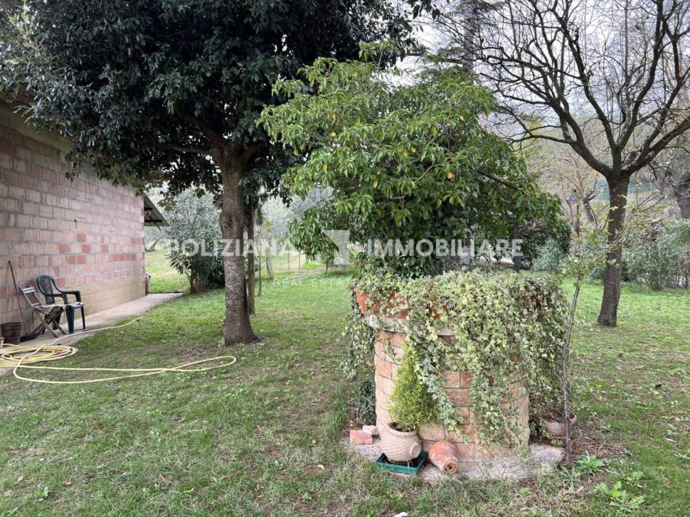 immagine annuncio 4 di 11