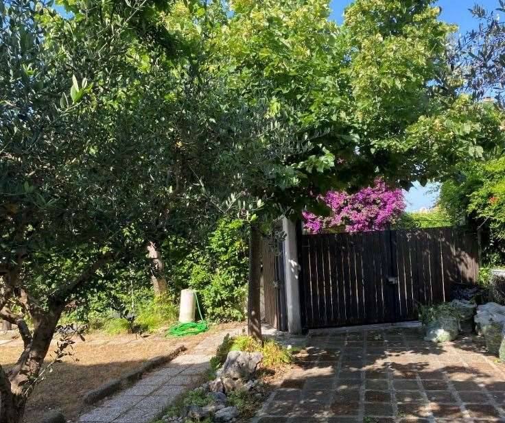 immagine annuncio 5 di 13