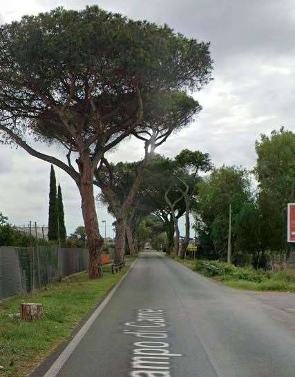 immagine annuncio 12 di 13