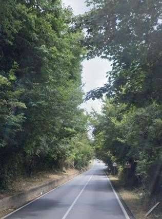 immagine annuncio 3 di 13