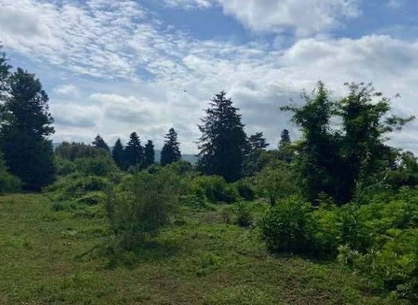 immagine annuncio 9 di 13