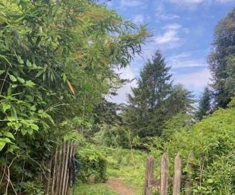 immagine annuncio 11 di 13