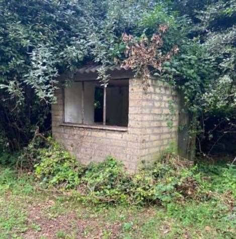 immagine annuncio 12 di 13