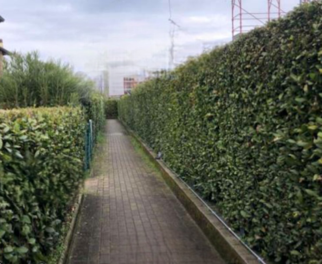 immagine annuncio 4 di 13