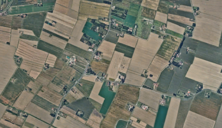 immagine annuncio 9 di 13