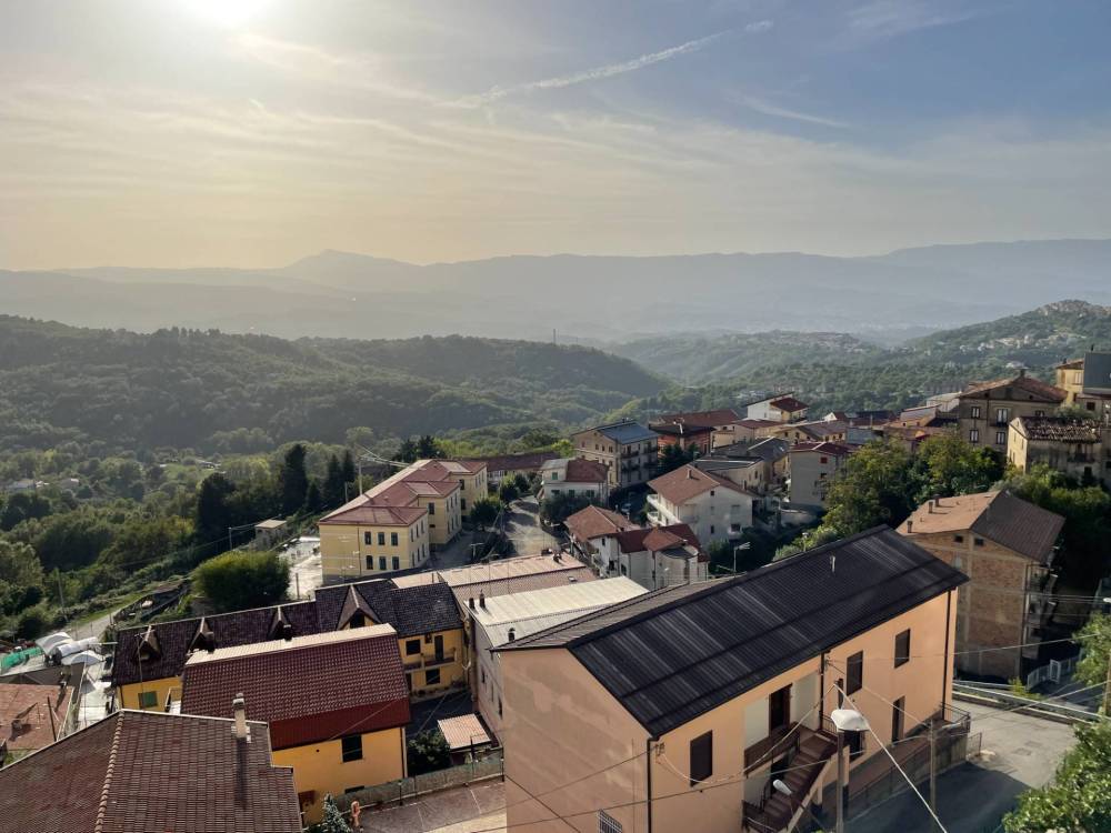 immagine annuncio 12 di 13