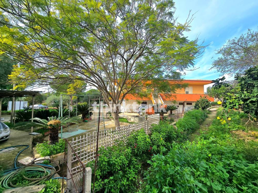 immagine annuncio 3 di 13