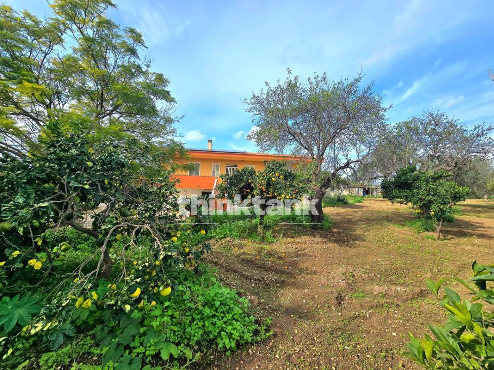 immagine annuncio 4 di 13