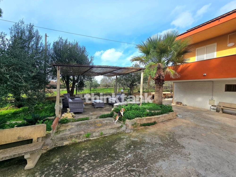 immagine annuncio 10 di 13