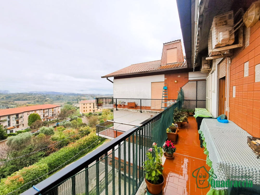 immagine annuncio 7 di 13