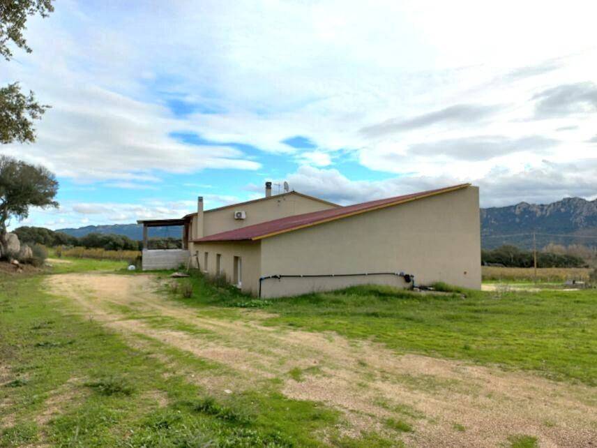 immagine annuncio 7 di 13