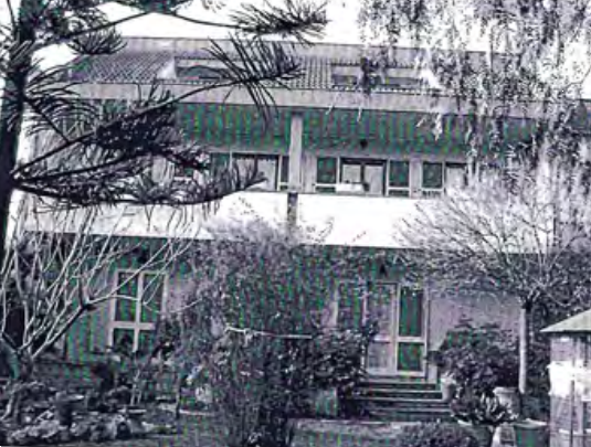 immagine annuncio 3 di 13