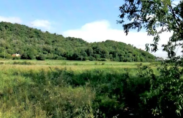 immagine annuncio 4 di 13