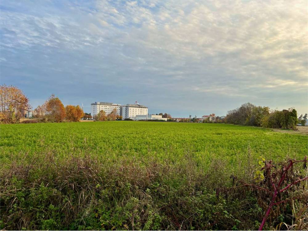 immagine annuncio 3 di 13