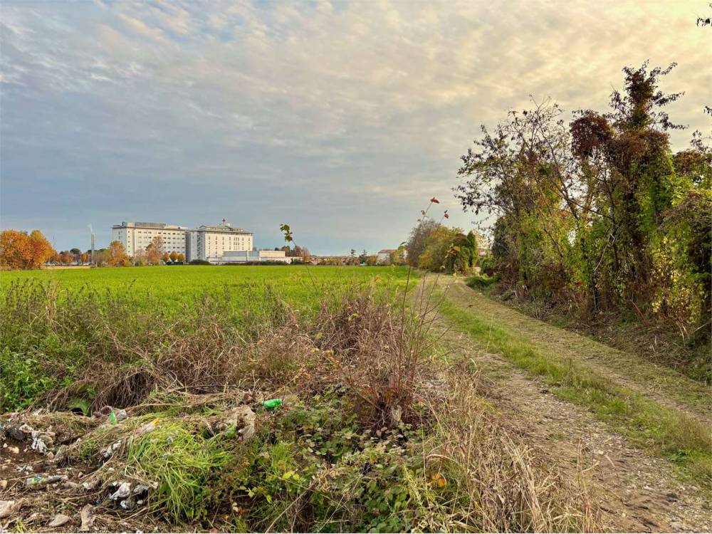 immagine annuncio 5 di 13