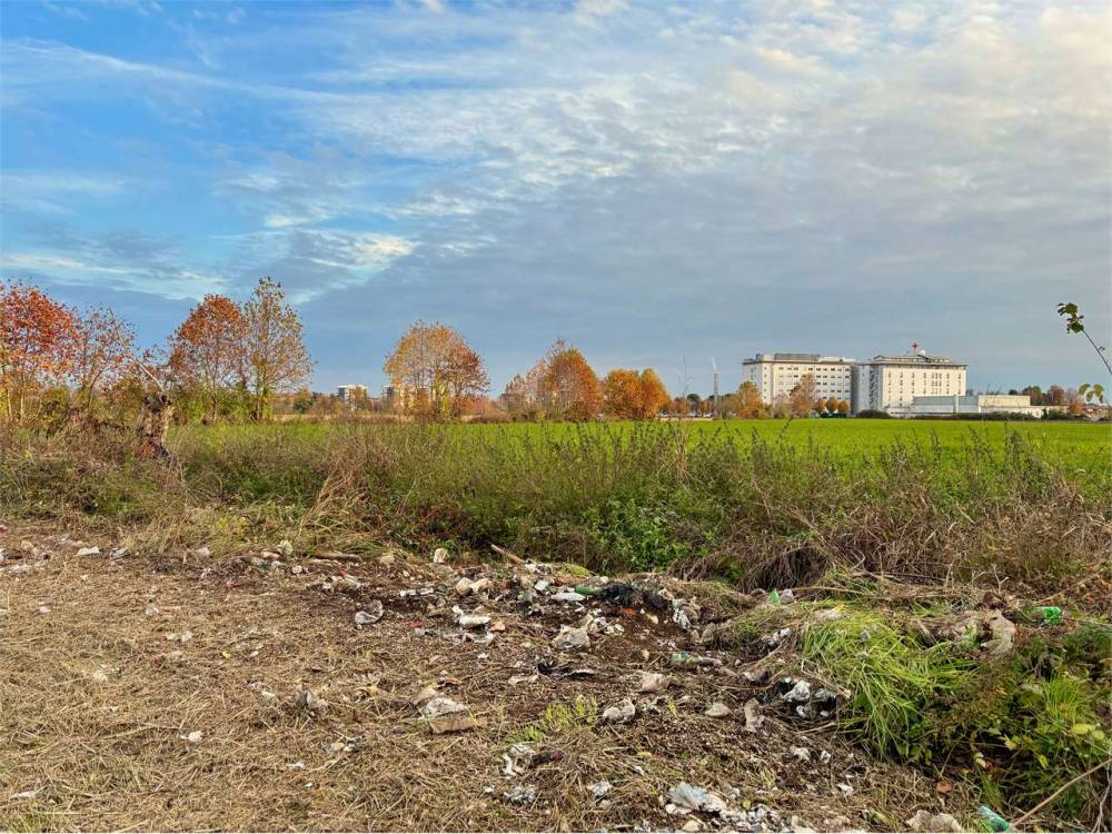 immagine annuncio 6 di 13