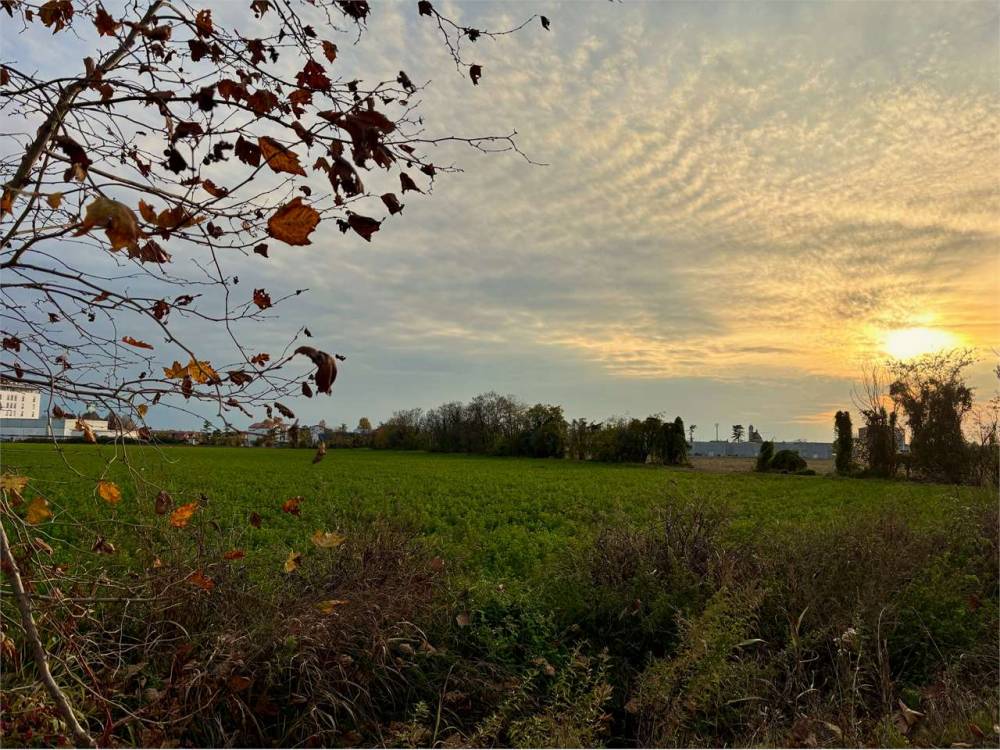 immagine annuncio 8 di 13