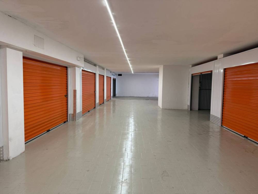 immagine annuncio 4 di 9