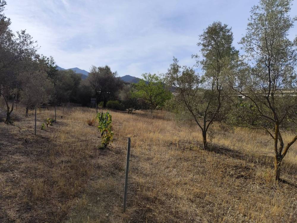 immagine annuncio 2 di 3