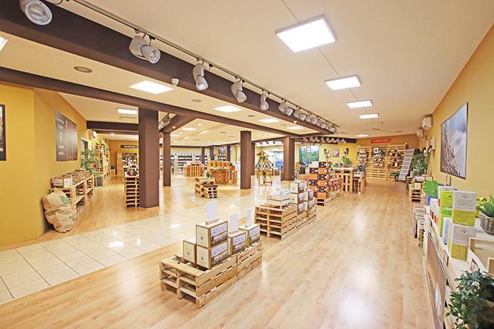 immagine annuncio 3 di 11