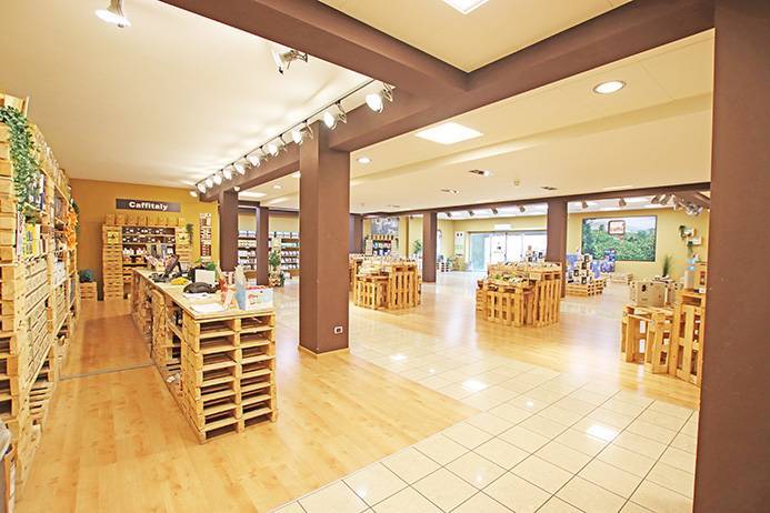 immagine annuncio 4 di 11