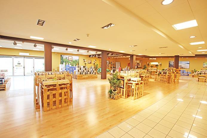 immagine annuncio 5 di 11