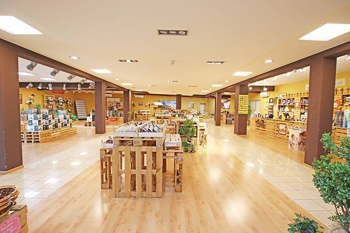 immagine annuncio 6 di 11