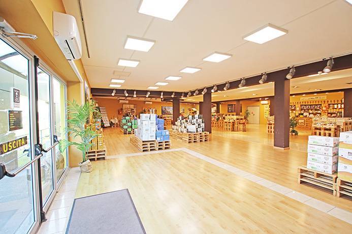 immagine annuncio 9 di 11