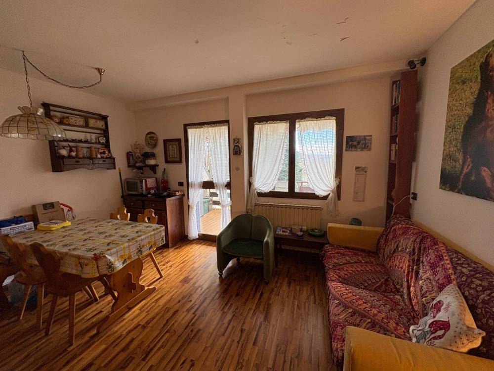 immagine annuncio 2 di 13